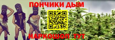 прущие крисы Новодвинск