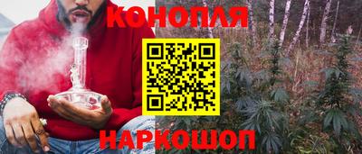 прущие крисы Новодвинск