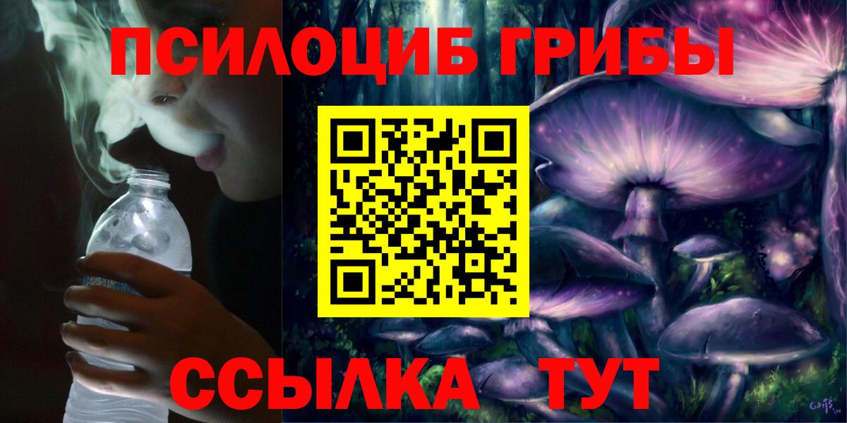 Псилоцибиновые грибы мухоморы Сыктывкар